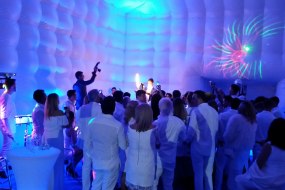 Trillion Events Bands and DJs Profile 1