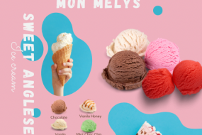 Mon Melys Sweet Anglesey Ltd Mobile Frozen Yoghurt Bars Profile 1
