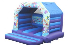 Bouncy Castle Hire Co.  Inflatable Slide Hire Profile 1