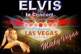 Micky Vegas as Elvis in Concert Band Hire Profile 1