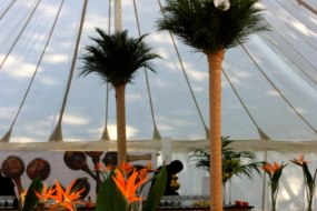 Traditional Marquee un-lined Lewis Marquees