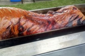 Tasty Pig