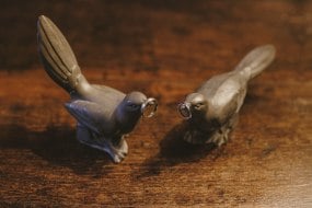 Love Birds and Wedding Rings