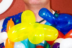 Carl John Balloon Modellers Profile 1