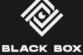Black Box Global Ltd Hire Event Security Profile 1