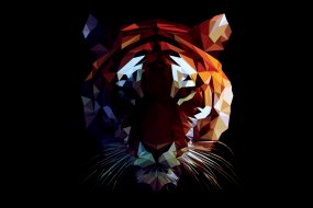 Tigerlike Events  Team Building Hire Profile 1