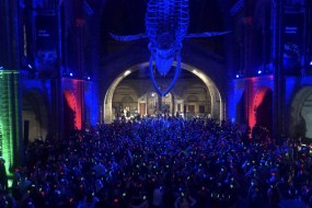 TheProducersUK Bands and DJs Profile 1