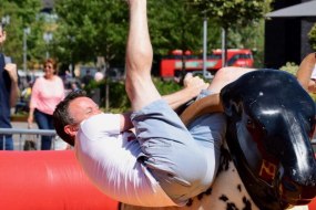 A Load Of Bull Belfast Bungee Run Hire Profile 1