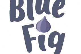 Blue Fig Catering Food Van Hire Profile 1