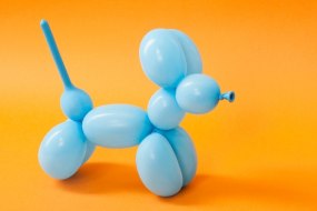 Zazu Fun Balloon Modellers Profile 1