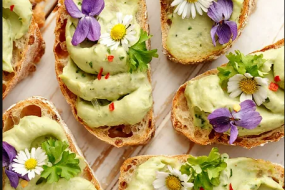 Seasons Organic American Catering Profile 1