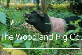 The Woodland Pig Co Hog Roasts Profile 1