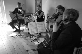Sonore String Quartet String Quartet Hire Profile 1