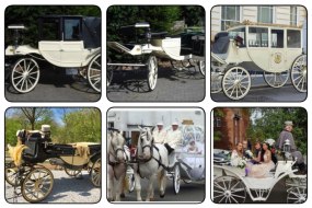 The Complete Toastmaster Horse Drawn Carriages  Profile 1