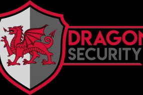 Dragon Security Hire Event Security Profile 1
