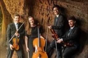 Lumos String Quartet Classical Musician Hire Profile 1