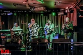The Wilgars Band Hire Profile 1