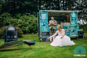 Screaming Peacock Burger Van Hire Profile 1