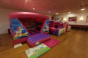 Tiger Castles Ltd Inflatable Slide Hire Profile 1