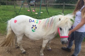 Daisy's Pony Parties Pony Parties Profile 1