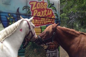 Zoe's Party Animals Pony Parties Profile 1