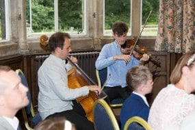 Egerton Strings Classical Musician Hire Profile 1