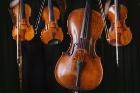 Dolce Strings Classical Musician Hire Profile 1
