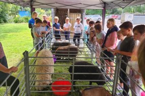Ems Friendly Farm Animal Parties Profile 1