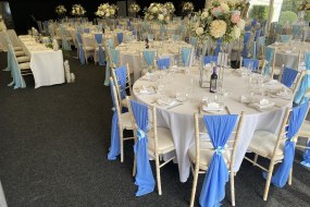 Easy and Elegant Weddings and Events  Decorations Profile 1