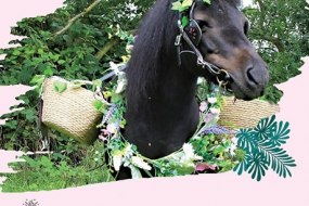 All Creatures Animal Experience  Wedding Accessory Hire Profile 1