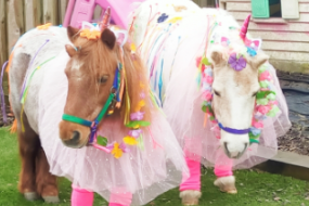 Mobile Mini Ponies  Pony Parties Profile 1