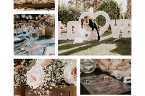 Dreamland Events Wedding Planner Hire Profile 1