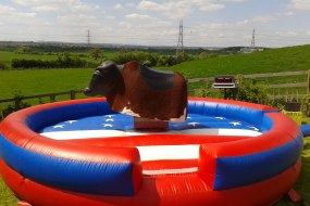 Rodeo Bull