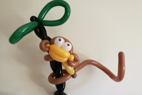 Juggle Puppet Balloon Modellers Profile 1