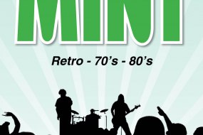 Mint Karaoke Bands and DJs Profile 1