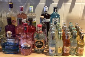 Double Vision Mobile Bars Mobile Gin Bar Hire Profile 1