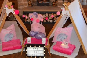 I Want That Party Party Tent Hire Profile 1