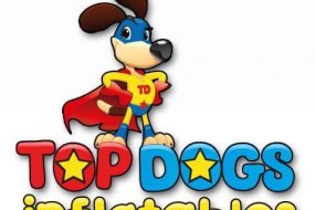 Topdogs Inflatables Bungee Run Hire Profile 1