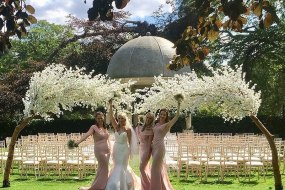 Quality Blossom arches and trees