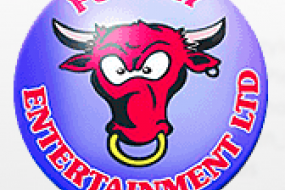Funday Entertainment Ltd Rodeo Bull Hire Profile 1