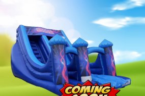 The Party Business Newcastle Inflatable Slide Hire Profile 1