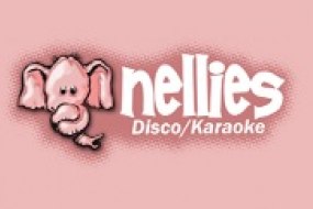 Nellies Disco & Karaoke Audio Visual Equipment Hire Profile 1