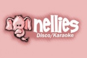 Nellies Disco & Karaoke Children's Entertainers Profile 1