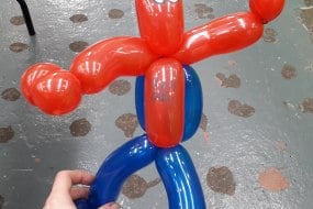 DFY Party Planning Balloon Modellers Profile 1
