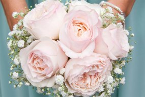 Sarah Cook Photography