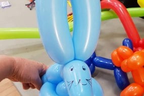 Partyfriendz Balloon Modellers Profile 1