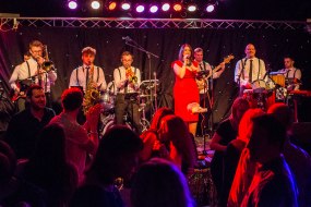 Revival Bands and DJs Profile 1