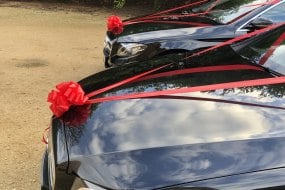 Platinum Executive Travel Bristol Ltd. Wedding Car Hire Profile 1