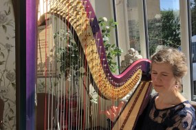 Meredith McCracken - Harpist Harpist Hire Profile 1