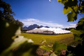 Dynamic Stretch Tents Marquee Hire Profile 1